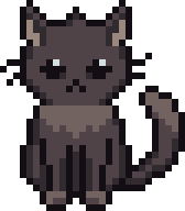 Grey cat